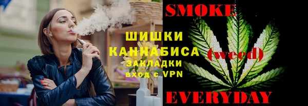 ГАЛЛЮЦИНОГЕННЫЕ ГРИБЫ Алзамай
